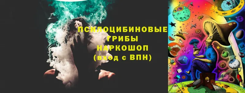 Галлюциногенные грибы Magic Shrooms  MEGA ТОР  Ессентуки  где найти  