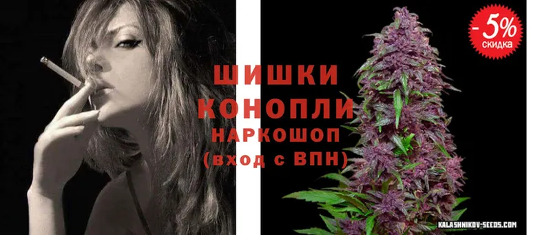 Конопля SATIVA & INDICA  наркотики  Ессентуки 